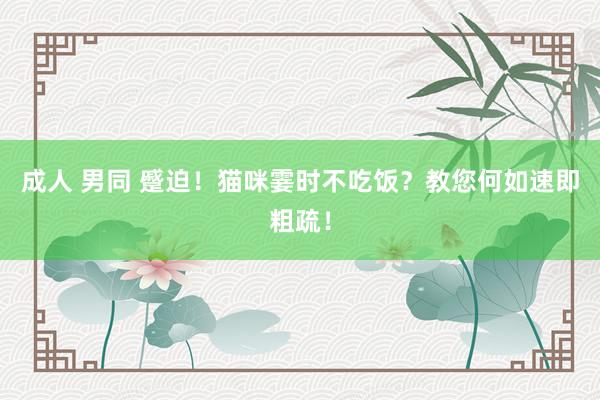 成人 男同 蹙迫！猫咪霎时不吃饭？教您何如速即粗疏！