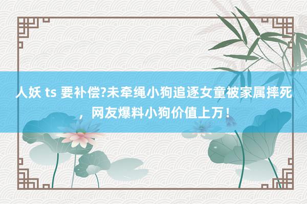 人妖 ts 要补偿?未牵绳小狗追逐女童被家属摔死，网友爆料小狗价值上万！