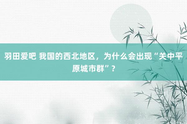 羽田爱吧 我国的西北地区，为什么会出现“关中平原城市群”？