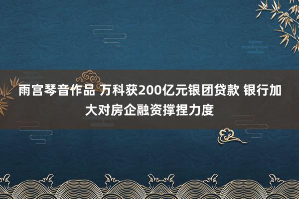 雨宫琴音作品 万科获200亿元银团贷款 银行加大对房企融资撑捏力度