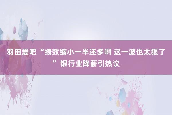 羽田爱吧 “绩效缩小一半还多啊 这一波也太狠了” 银行业降薪引热议