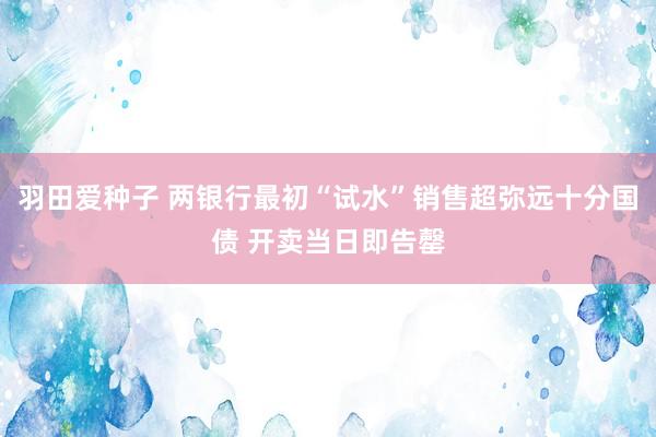 羽田爱种子 两银行最初“试水”销售超弥远十分国债 开卖当日即告罄