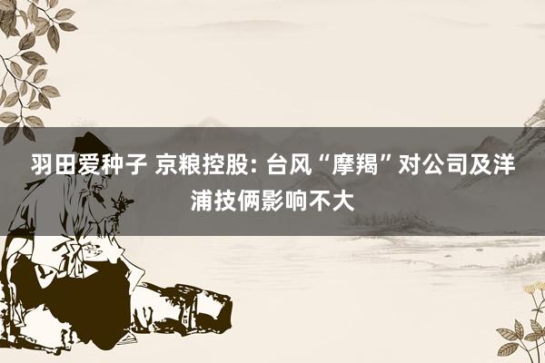 羽田爱种子 京粮控股: 台风“摩羯”对公司及洋浦技俩影响不大