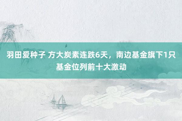 羽田爱种子 方大炭素连跌6天，南边基金旗下1只基金位列前十大激动