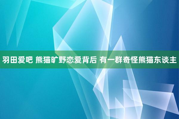 羽田爱吧 熊猫旷野恋爱背后 有一群奇怪熊猫东谈主