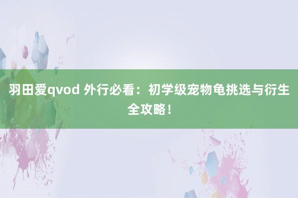 羽田爱qvod 外行必看：初学级宠物龟挑选与衍生全攻略！