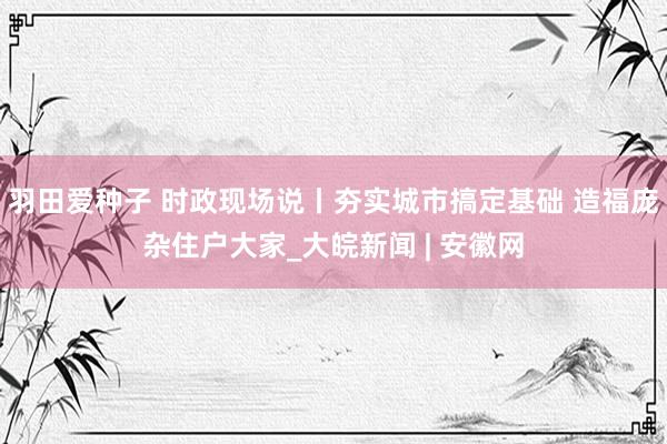 羽田爱种子 时政现场说丨夯实城市搞定基础 造福庞杂住户大家_大皖新闻 | 安徽网