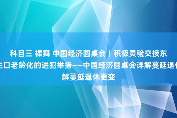 科目三 裸舞 中国经济圆桌会丨积极灵验交接东说念主口老龄化的进犯举措——中国经济圆桌会详解蔓延退休更变