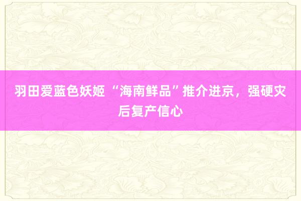 羽田爱蓝色妖姬 “海南鲜品”推介进京，强硬灾后复产信心