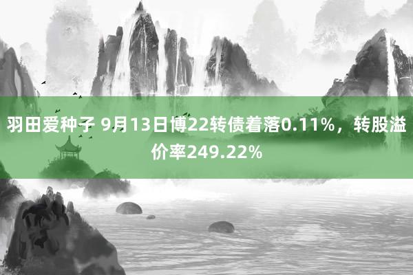 羽田爱种子 9月13日博22转债着落0.11%，转股溢价率249.22%