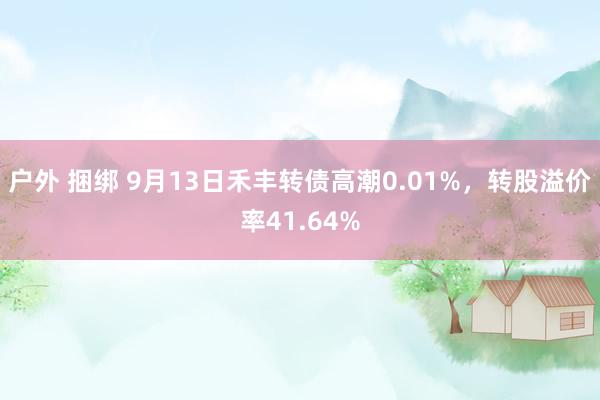 户外 捆绑 9月13日禾丰转债高潮0.01%，转股溢价率41.64%