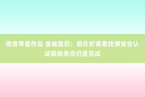 雨宫琴音作品 金城医药：现在虾青素技俩安全认证锻练责任仍是完成