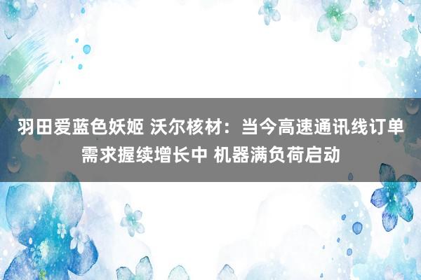 羽田爱蓝色妖姬 沃尔核材：当今高速通讯线订单需求握续增长中 机器满负荷启动