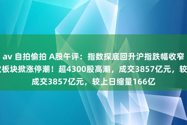 av 自拍偷拍 A股午评：指数探底回升沪指跌幅收窄至0.42%，光伏板块掀涨停潮！超4300股高潮，成交3857亿元，较上日缩量166亿