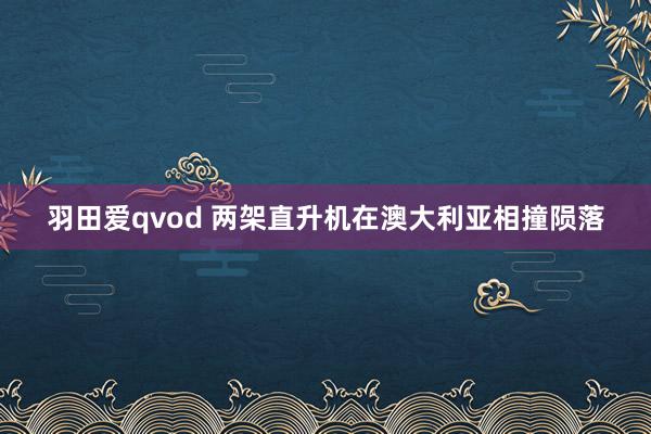 羽田爱qvod 两架直升机在澳大利亚相撞陨落