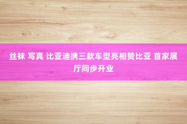 丝袜 写真 比亚迪携三款车型亮相赞比亚 首家展厅同步开业