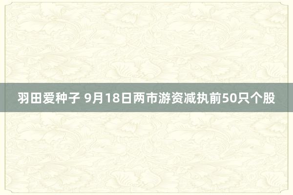 羽田爱种子 9月18日两市游资减执前50只个股