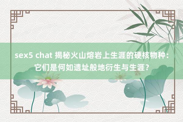 sex5 chat 揭秘火山熔岩上生涯的硬核物种：它们是何如遗址般地衍生与生涯？