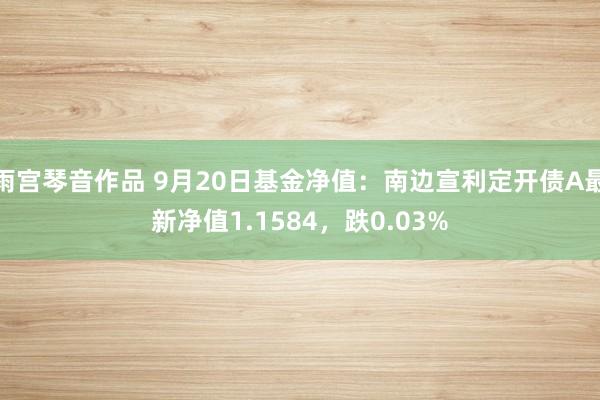 雨宫琴音作品 9月20日基金净值：南边宣利定开债A最新净值1.1584，跌0.03%