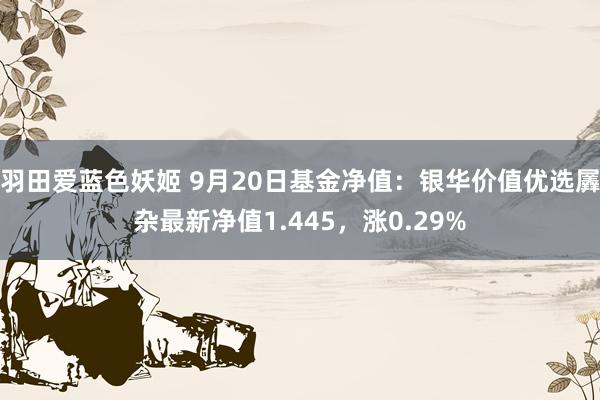 羽田爱蓝色妖姬 9月20日基金净值：银华价值优选羼杂最新净值1.445，涨0.29%