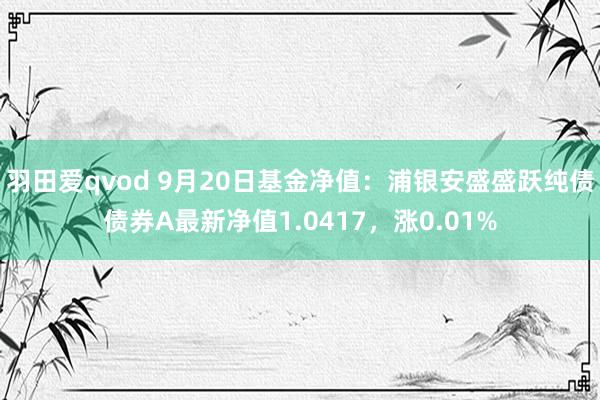 羽田爱qvod 9月20日基金净值：浦银安盛盛跃纯债债券A最新净值1.0417，涨0.01%