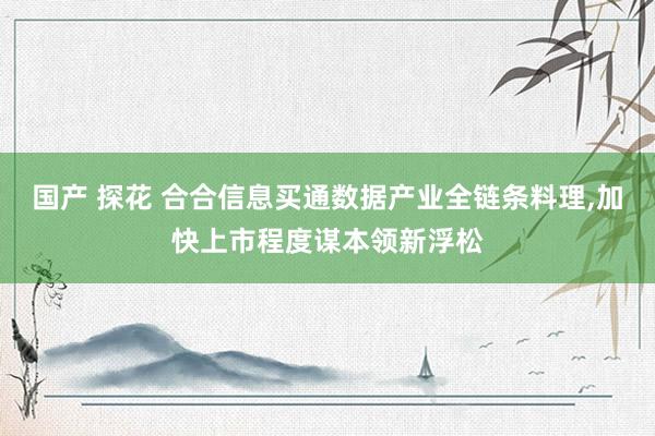 国产 探花 合合信息买通数据产业全链条料理，加快上市程度谋本领新浮松