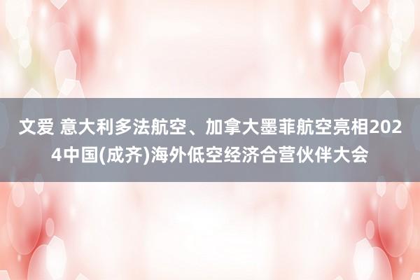 文爱 意大利多法航空、加拿大墨菲航空亮相2024中国(成齐)海外低空经济合营伙伴大会