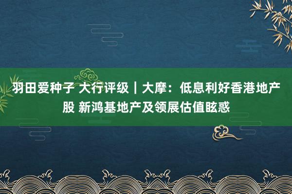 羽田爱种子 大行评级｜大摩：低息利好香港地产股 新鸿基地产及领展估值眩惑