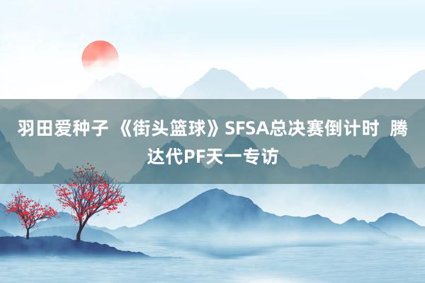 羽田爱种子 《街头篮球》SFSA总决赛倒计时  腾达代PF天一专访