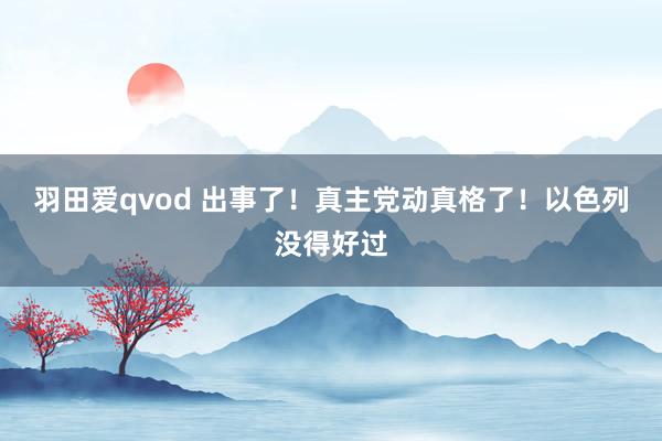 羽田爱qvod 出事了！真主党动真格了！以色列没得好过