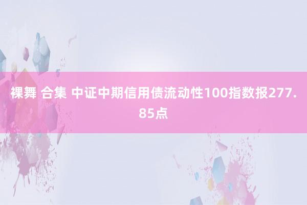 裸舞 合集 中证中期信用债流动性100指数报277.85点