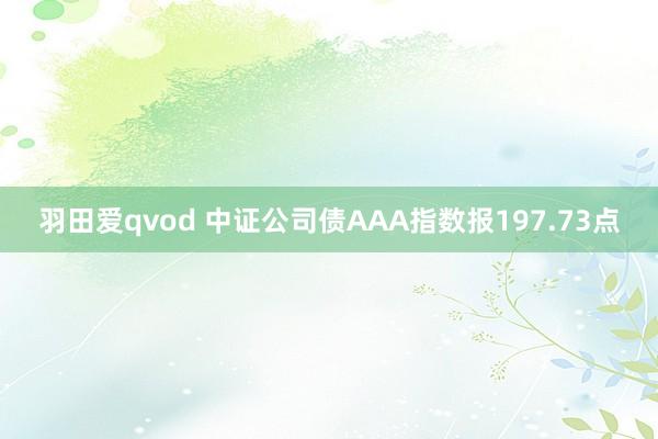 羽田爱qvod 中证公司债AAA指数报197.73点