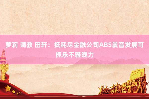 萝莉 调教 田轩：抵耗尽金融公司ABS曩昔发展可抓乐不雅魄力