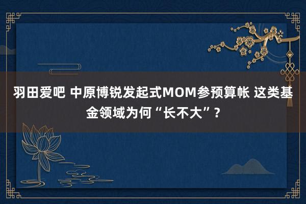 羽田爱吧 中原博锐发起式MOM参预算帐 这类基金领域为何“长不大”？