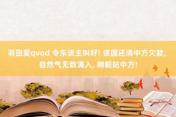 羽田爱qvod 令东谈主叫好! 该国还清中方欠款， 自然气无数涌入， 刚毅站中方!