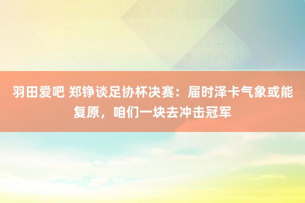 羽田爱吧 郑铮谈足协杯决赛：届时泽卡气象或能复原，咱们一块去冲击冠军