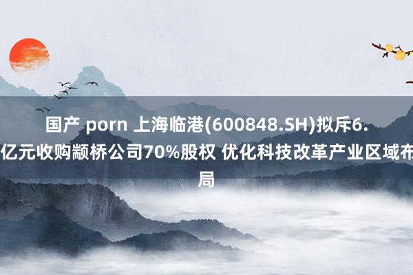 国产 porn 上海临港(600848.SH)拟斥6.31亿元收购颛桥公司70%股权 优化科技改革产业区域布局