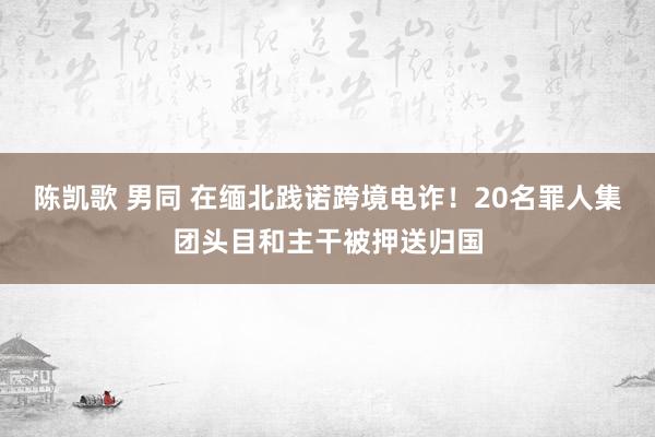 陈凯歌 男同 在缅北践诺跨境电诈！20名罪人集团头目和主干被押送归国