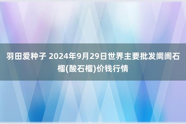 羽田爱种子 2024年9月29日世界主要批发阛阓石榴(酸石榴)价钱行情