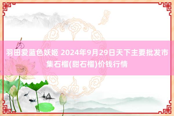 羽田爱蓝色妖姬 2024年9月29日天下主要批发市集石榴(甜石榴)价钱行情