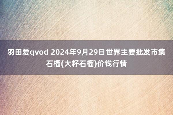 羽田爱qvod 2024年9月29日世界主要批发市集石榴(大籽石榴)价钱行情