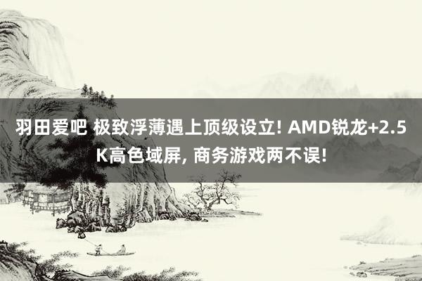 羽田爱吧 极致浮薄遇上顶级设立! AMD锐龙+2.5K高色域屏， 商务游戏两不误!