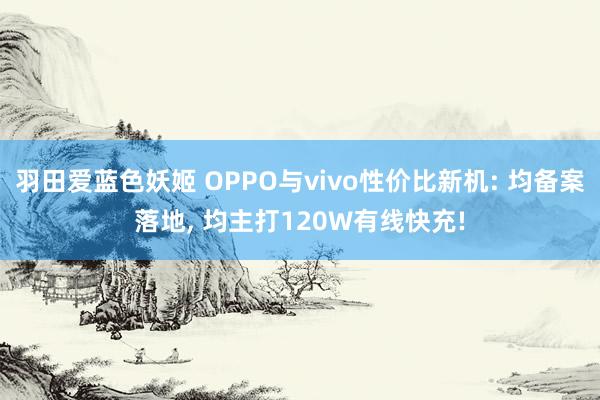 羽田爱蓝色妖姬 OPPO与vivo性价比新机: 均备案落地， 均主打120W有线快充!