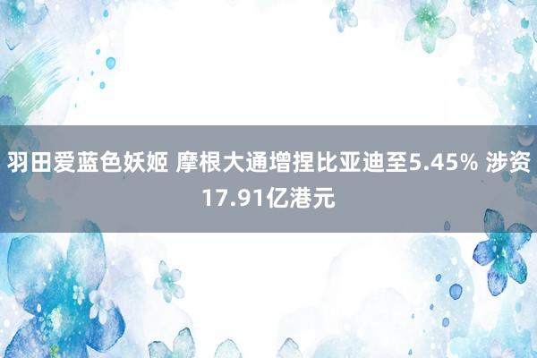 羽田爱蓝色妖姬 摩根大通增捏比亚迪至5.45% 涉资17.91亿港元