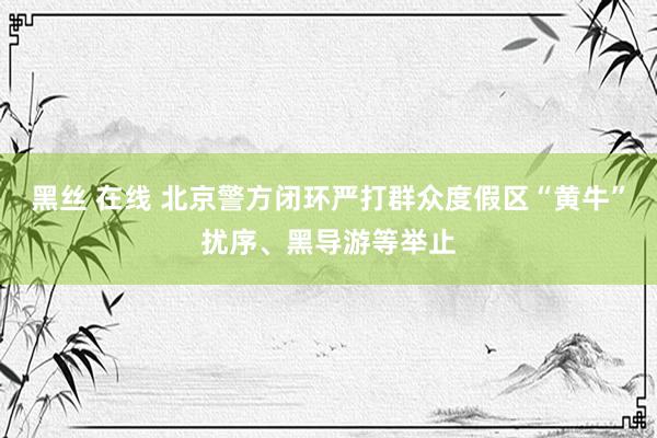 黑丝 在线 北京警方闭环严打群众度假区“黄牛”扰序、黑导游等举止