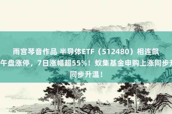 雨宫琴音作品 半导体ETF（512480）相连飙涨：午盘涨停，7日涨幅超55%！蚁集基金申购上涨同步升温！