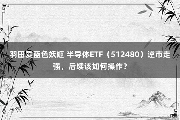 羽田爱蓝色妖姬 半导体ETF（512480）逆市走强，后续该如何操作？