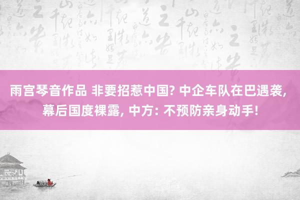 雨宫琴音作品 非要招惹中国? 中企车队在巴遇袭, 幕后国度裸露, 中方: 不预防亲身动手!