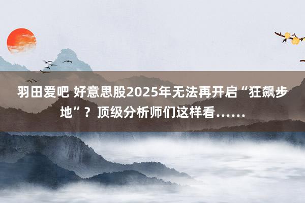 羽田爱吧 好意思股2025年无法再开启“狂飙步地”？顶级分析师们这样看……