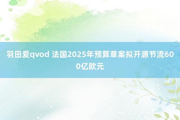 羽田爱qvod 法国2025年预算草案拟开源节流600亿欧元